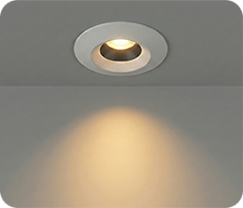 Mini Down Light Real